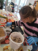 7cd5c6b0-7c94-497e-8a12-8dd54cf56821.jpeg 7cd5c6b0-7c94-497e-8a12-8dd54cf56821.jpeg