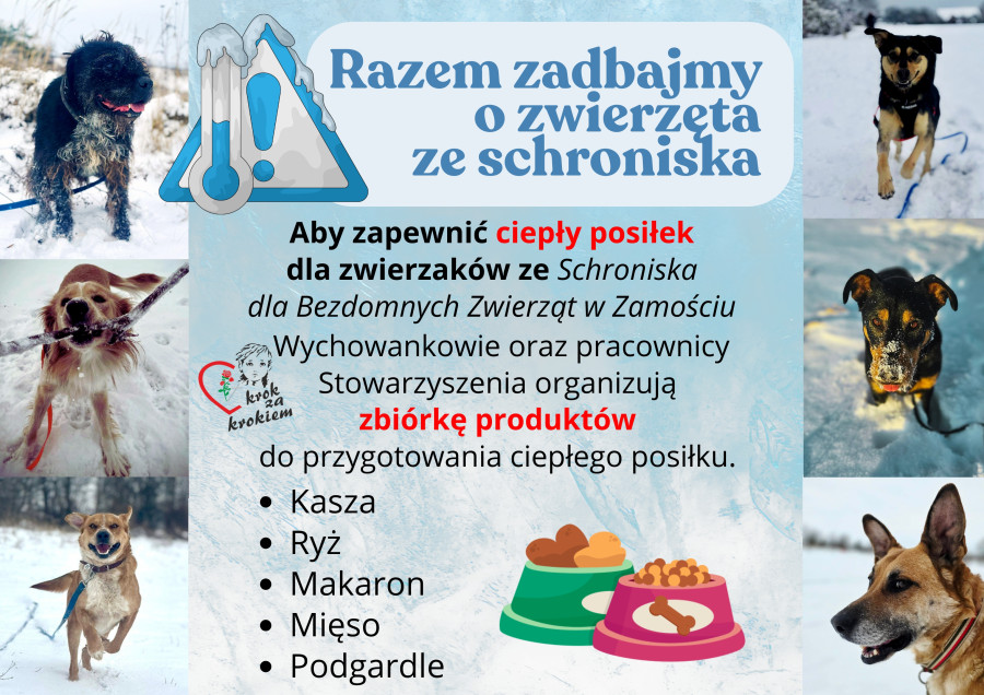 razem zadbajmy o zwierzęta ze schroniska - mrozy!