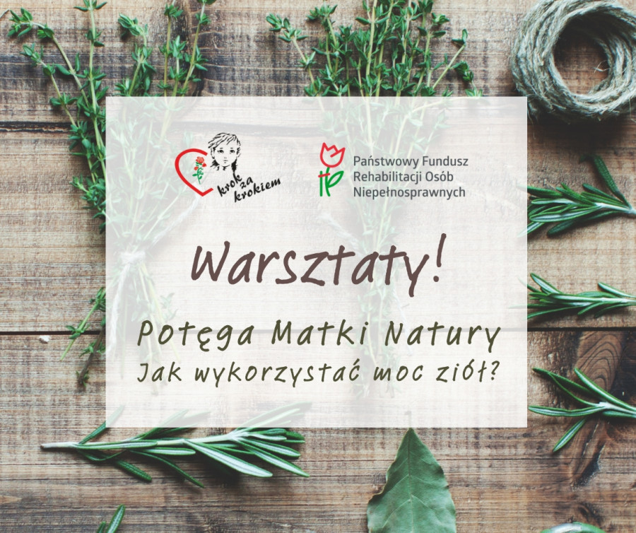 Warsztaty - 16/06/2026